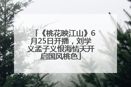 《桃花映江山》6月25日开播，刘学义孟子义恨海情天开启国风桃色