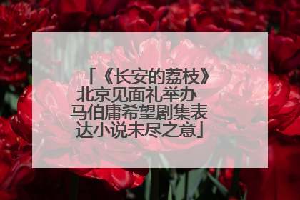 《长安的荔枝》北京见面礼举办 马伯庸希望剧集表达小说未尽之意