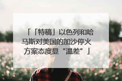 「特稿」以色列和哈马斯对美国的加沙停火方案态度显“温差”