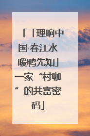 「理响中国·春江水暖鸭先知」一家“村咖”的共富密码