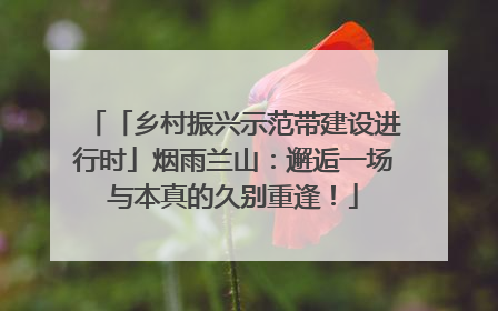 「乡村振兴示范带建设进行时」烟雨兰山：邂逅一场与本真的久别重逢！