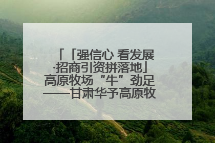 「强信心 看发展·招商引资拼落地」高原牧场“牛”劲足——甘肃华予高原牧场高标准奶牛肉牛养殖项目一线见闻