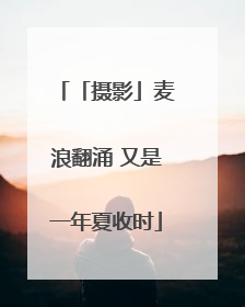 「摄影」麦浪翻涌 又是一年夏收时