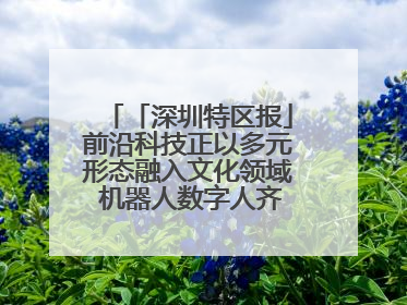 「深圳特区报」前沿科技正以多元形态融入文化领域 机器人数字人齐创文化新体验