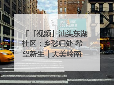 「视频」汕头东湖社区：乡愁归处 希望新生｜大美岭南·百村焕新记