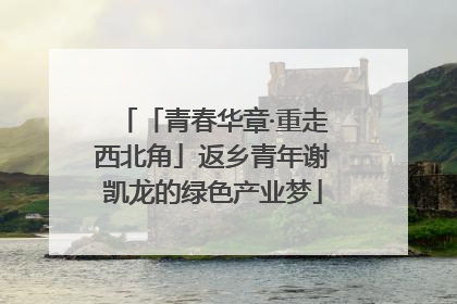 「青春华章·重走西北角」返乡青年谢凯龙的绿色产业梦