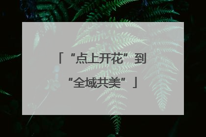 “点上开花”到“全域共美”