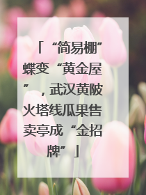 “简易棚”蝶变“黄金屋”，武汉黄陂火塔线瓜果售卖亭成“金招牌”