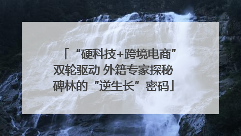 “硬科技+跨境电商”双轮驱动 外籍专家探秘碑林的“逆生长”密码