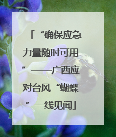 “确保应急力量随时可用”——广西应对台风“蝴蝶”一线见闻