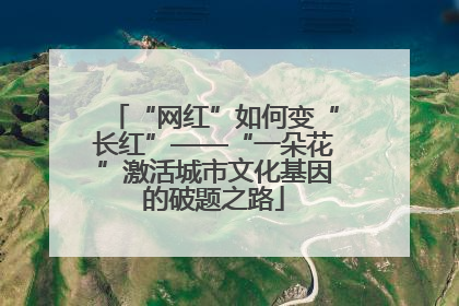 “网红”如何变“长红”——“一朵花”激活城市文化基因的破题之路