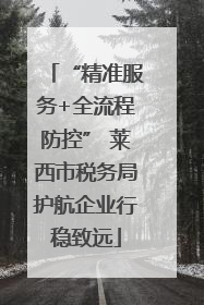 “精准服务+全流程防控” 莱西市税务局护航企业行稳致远