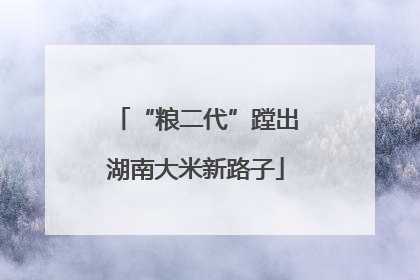 “粮二代”蹚出湖南大米新路子