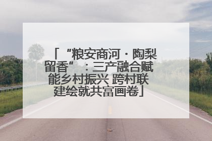 “粮安商河・陶梨留香”：三产融合赋能乡村振兴 跨村联建绘就共富画卷