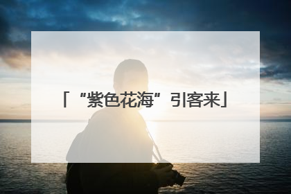 “紫色花海”引客来