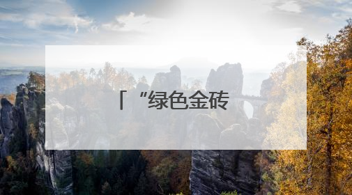 “绿色金砖 金色未来”金砖国家智库国际研讨会在京举行