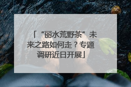 “丽水荒野茶”未来之路如何走？专题调研近日开展