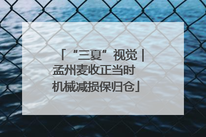 “三夏”视觉｜孟州麦收正当时 机械减损保归仓