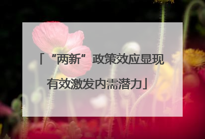 “两新”政策效应显现 有效激发内需潜力