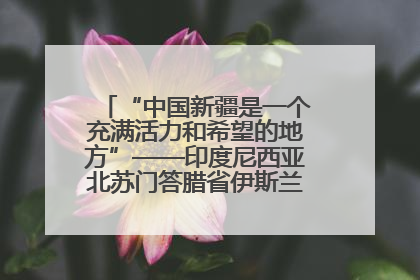 “中国新疆是一个充满活力和希望的地方”——印度尼西亚北苏门答腊省伊斯兰教代表团参访新疆