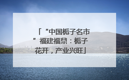“中国栀子名市”福建福鼎：栀子花开，产业兴旺
