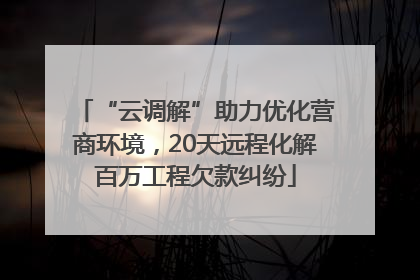 “云调解”助力优化营商环境，20天远程化解百万工程欠款纠纷