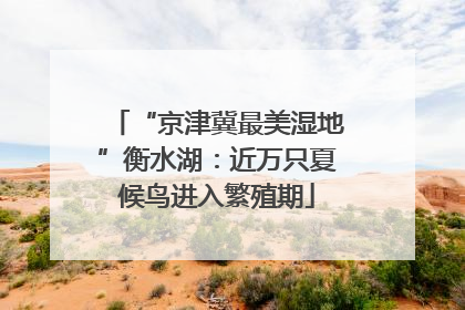 “京津冀最美湿地”衡水湖：近万只夏候鸟进入繁殖期