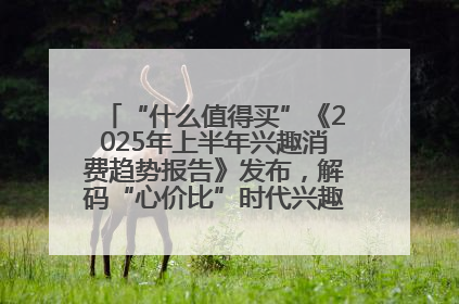 “什么值得买”《2025年上半年兴趣消费趋势报告》发布，解码“心价比”时代兴趣消费新范式