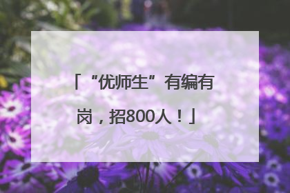 “优师生”有编有岗，招800人！