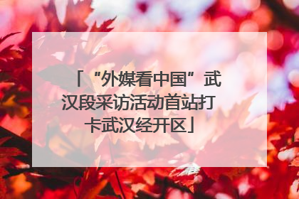 “外媒看中国”武汉段采访活动首站打卡武汉经开区
