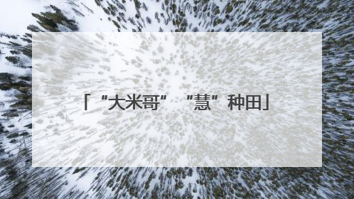 “大米哥”“慧”种田