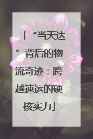 “当天达”背后的物流奇迹：跨越速运的硬核实力