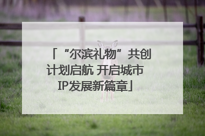 “尔滨礼物”共创计划启航 开启城市IP发展新篇章