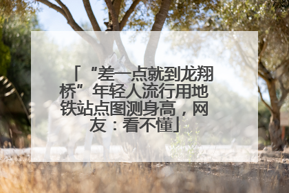 “差一点就到龙翔桥”年轻人流行用地铁站点图测身高，网友：看不懂