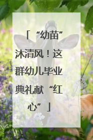 “幼苗”沐清风！这群幼儿毕业典礼献“红心”