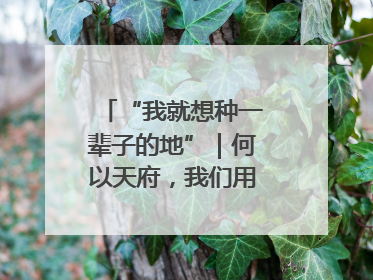 “我就想种一辈子的地”｜何以天府，我们用粮食作答②