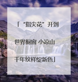 “指尖花”开到世界橱窗 小凉山千年纹样绽新色