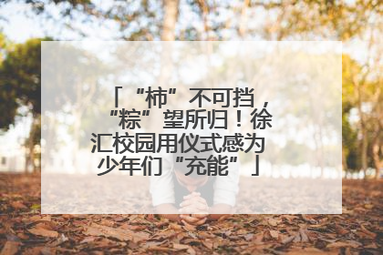 “柿”不可挡，“粽”望所归！徐汇校园用仪式感为少年们“充能”
