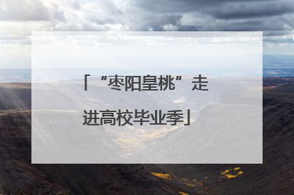 “枣阳皇桃”走进高校毕业季