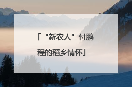 “新农人”付鹏程的稻乡情怀