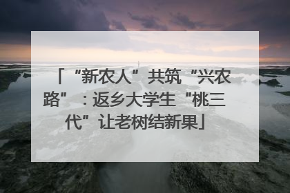 “新农人”共筑“兴农路”：返乡大学生“桃三代”让老树结新果