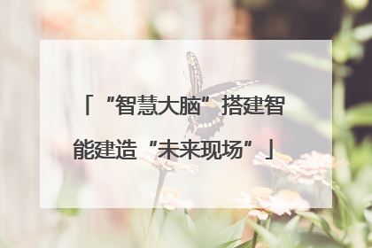 “智慧大脑”搭建智能建造“未来现场”