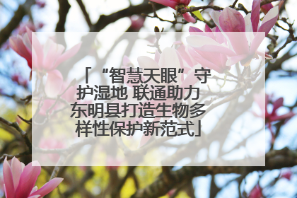 “智慧天眼”守护湿地 联通助力东明县打造生物多样性保护新范式