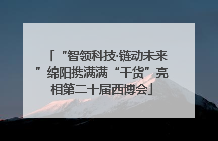 “智领科技·链动未来”绵阳携满满“干货”亮相第二十届西博会