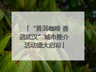 “普洱咖啡 香遇武汉”城市推介活动盛大启幕