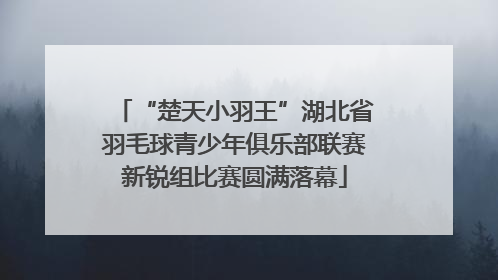 “楚天小羽王”湖北省羽毛球青少年俱乐部联赛新锐组比赛圆满落幕