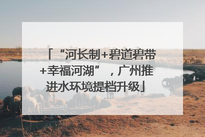 “河长制+碧道碧带+幸福河湖”，广州推进水环境提档升级
