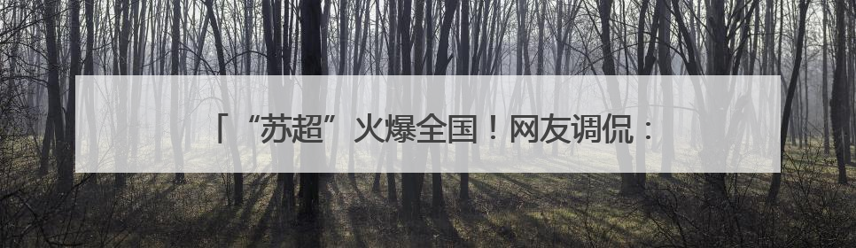 “苏超”火爆全国！网友调侃：“比赛第一，友谊第十四！”