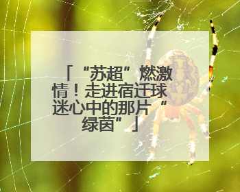 “苏超”燃激情！走进宿迁球迷心中的那片“绿茵”