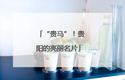 “贵马”！贵阳的亮丽名片